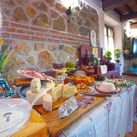 Agriturismo La Valle Degli Ulivi Semproniano Exteriér fotografie