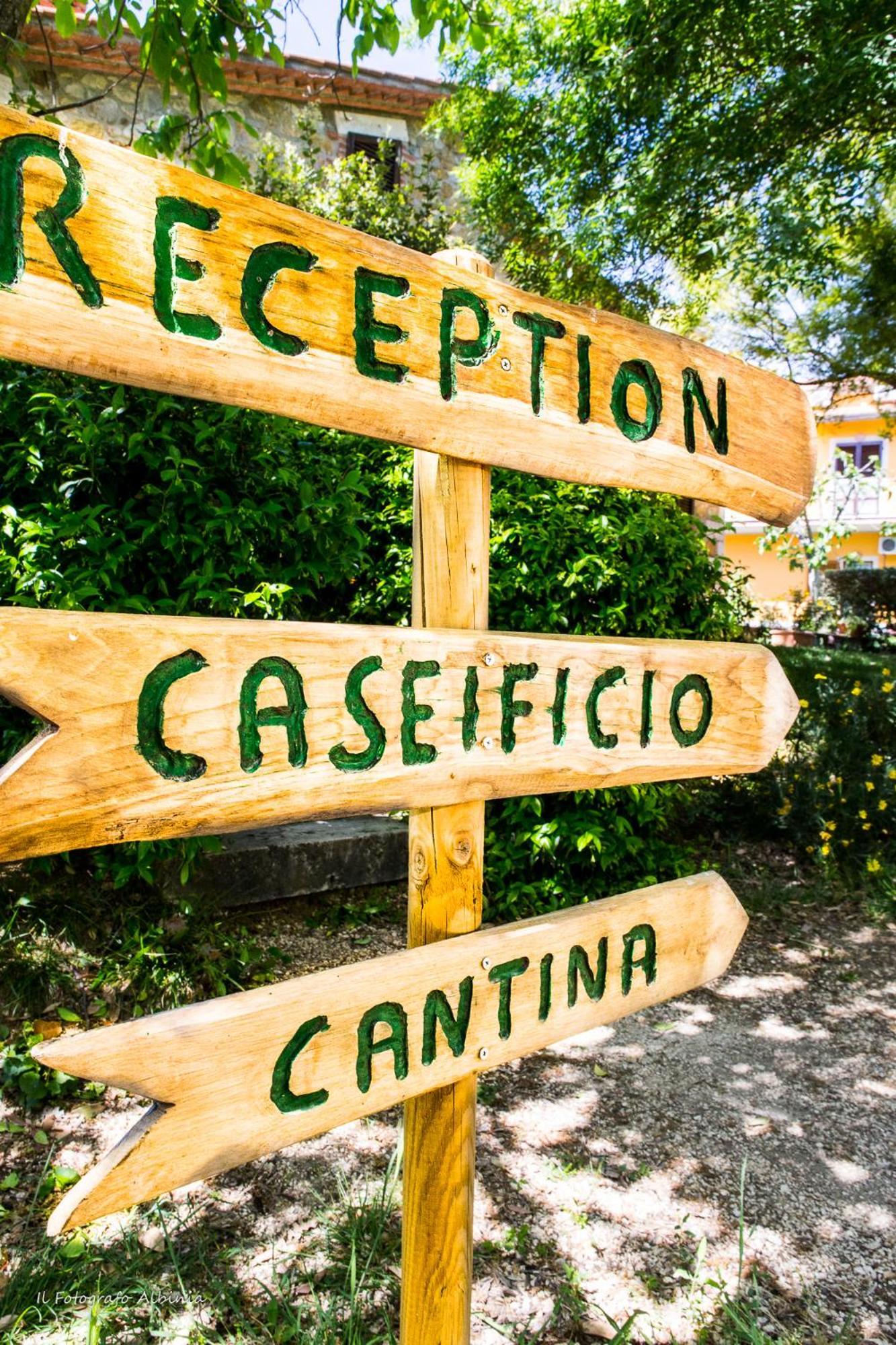 Agriturismo La Valle Degli Ulivi Semproniano Exteriér fotografie